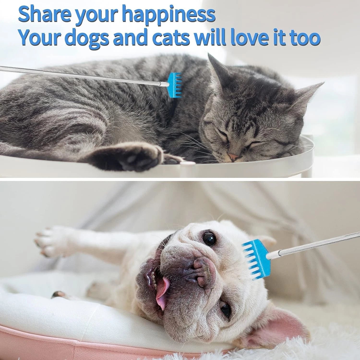 4Pcs Portable Extendable Back Scratcher,Telescoping Red Blue Purple Black