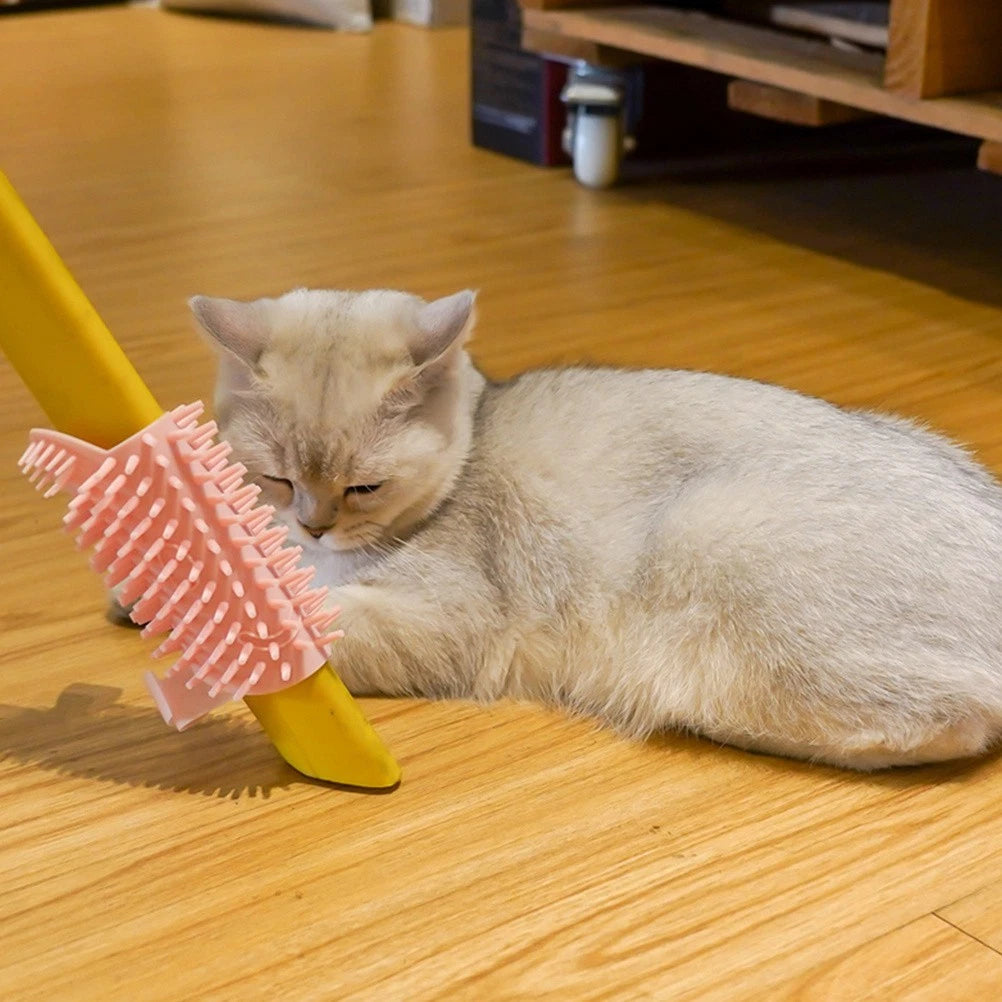 Board Cat Scratchers Puppy Brushes for Grooming Dog Massage