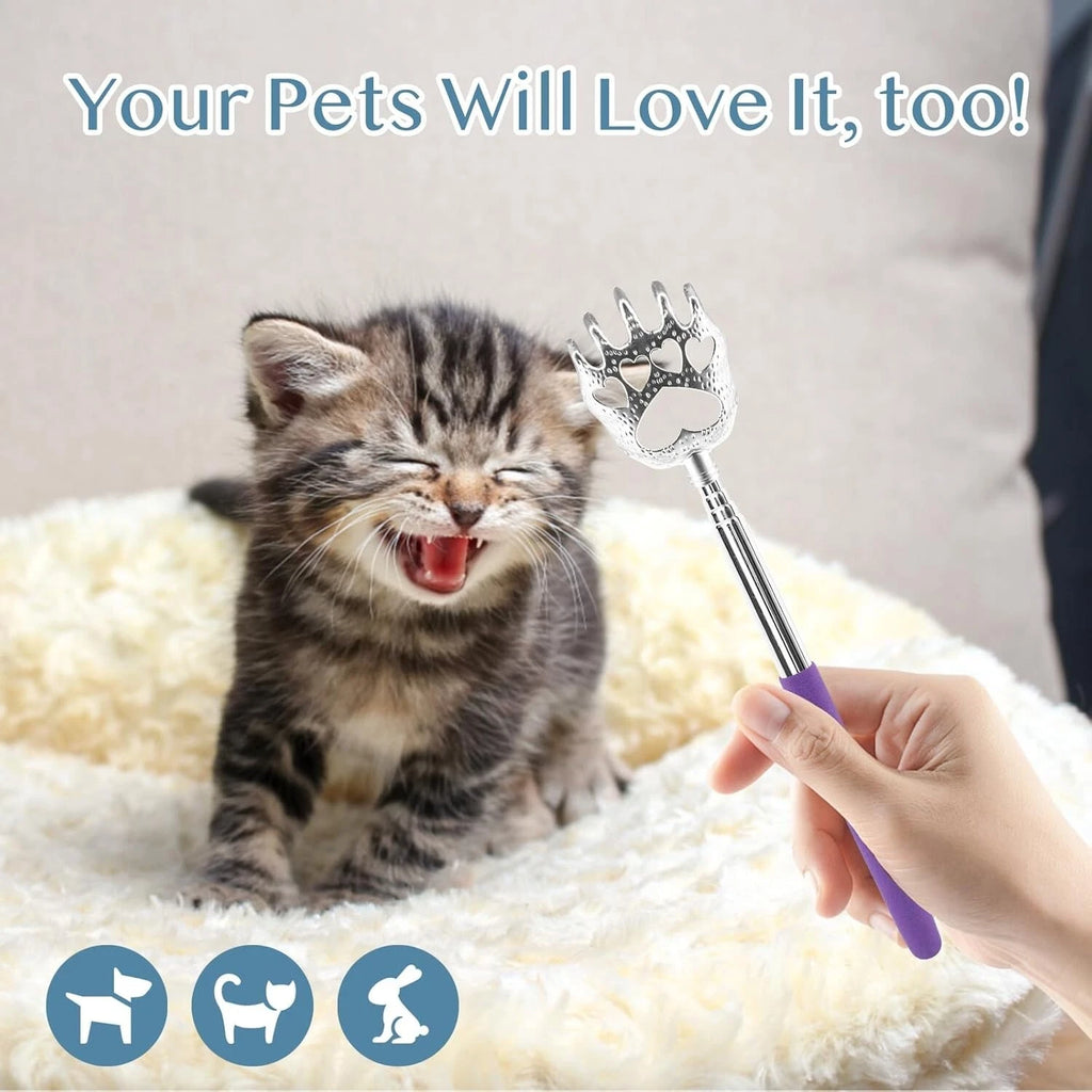 Vibrant 4-Pack Telescopic Back Scratchers – Effortless Itch Relief Anywhere