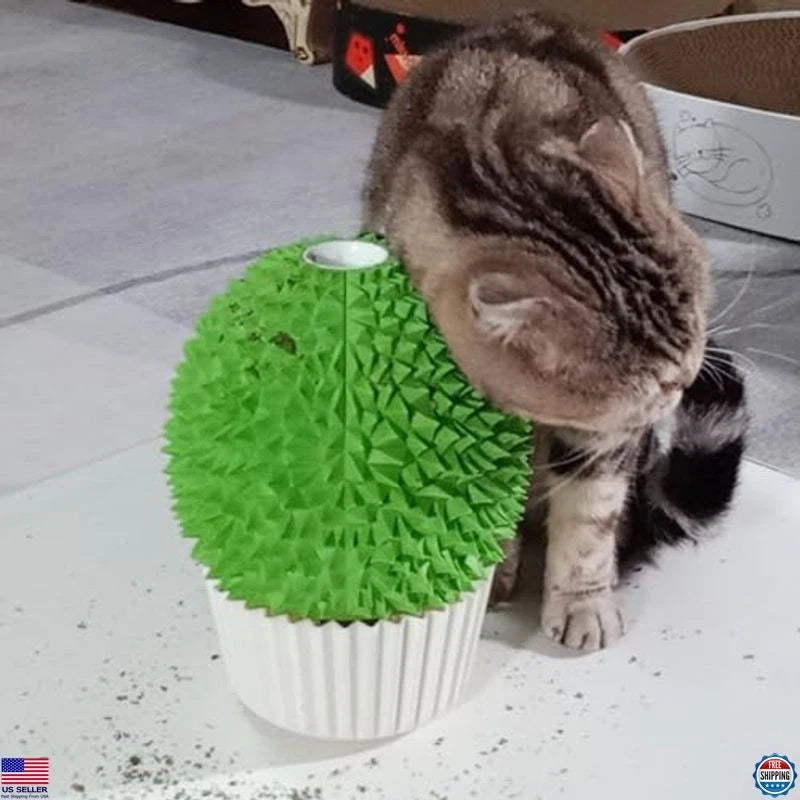 Catnip Feeder Cat Face Scratcher Wall Corner Massage Comb for Indoor Cats