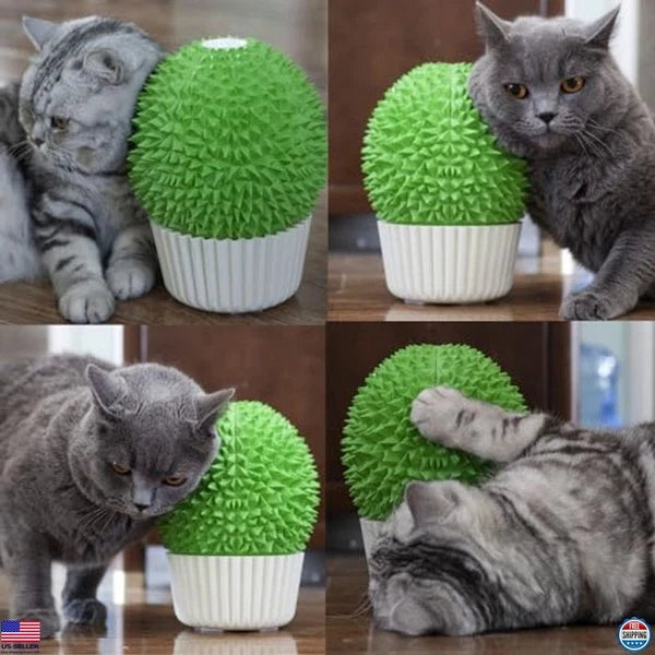 Catnip Feeder Cat Face Scratcher Wall Corner Massage Comb for Indoor Cats