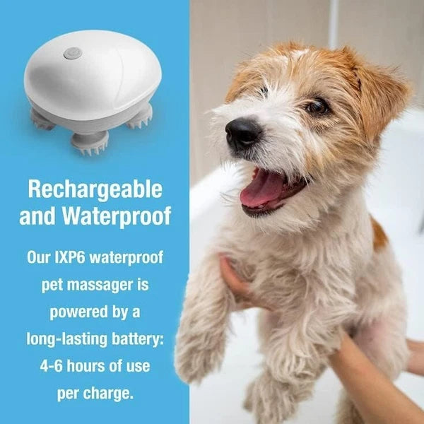 Electric Cat and Dog Massage Tool Four Rotating Massage Heads