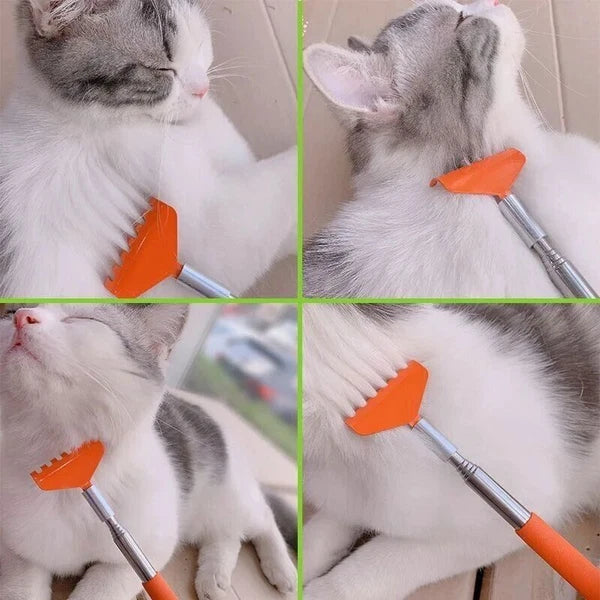 Cat Scratching Toy Massage grooming Brush Pet Products