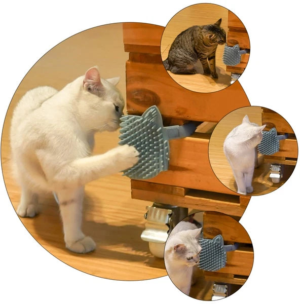 Board Cat Scratchers Massage Grooming Brush Dog Slicker for Dogs