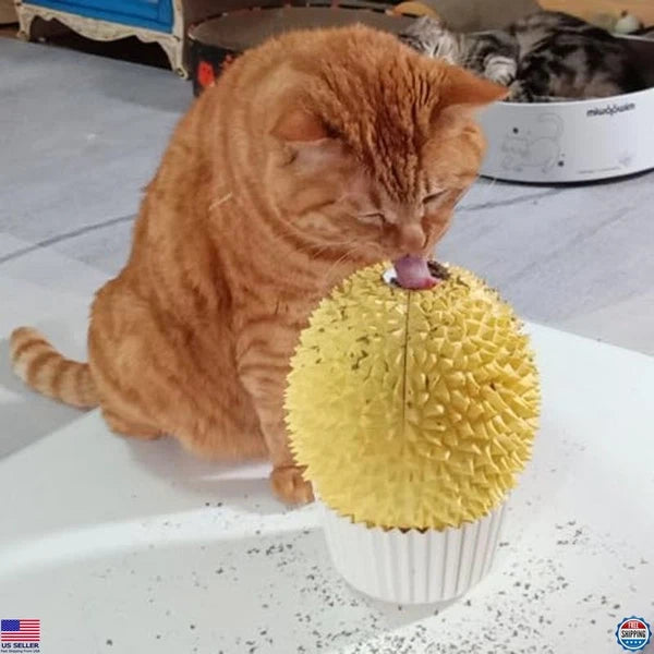 Catnip Feeder Cat Face Scratcher Wall Corner Massage Comb for Indoor Cats