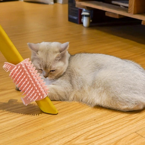 Board Cat Scratchers Puppy Brushes for Grooming Dog Massage