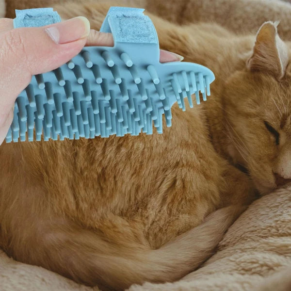 Silicone Scratcher Massage Brush Silicone Groom For Cat Groom-