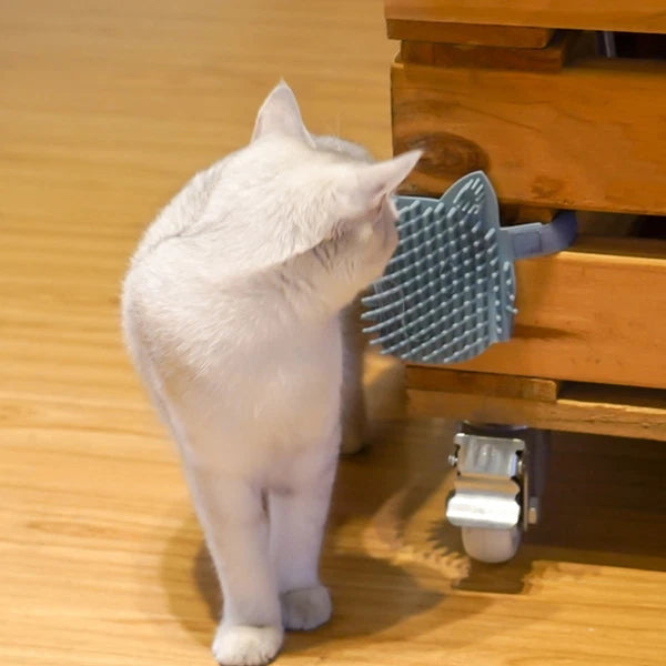 Board Cat Scratchers Massage Grooming Brush Dog Slicker for Dogs