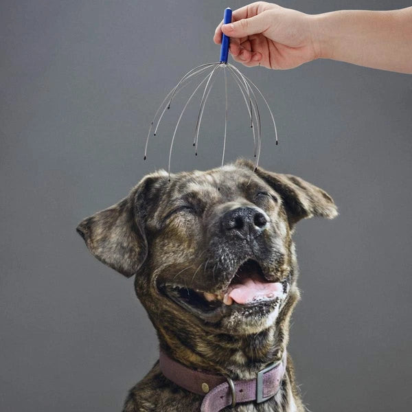 4 Pack Scalp Massagers, Handheld Head Massage Tingler, Scratcher for Deep Relaxa