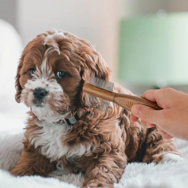 Cat Massage Comb Rabbit Shedding Comb Cow Scratcher Brush Poultry Itching Brush