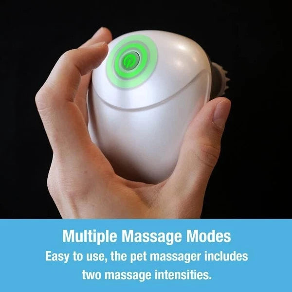 Electric Cat and Dog Massage Tool Four Rotating Massage Heads