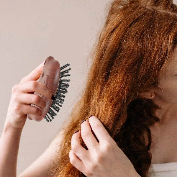 Bear Massage Comb Detangle and Brush Head Scratcher Scalp Massager