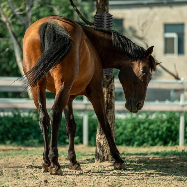 2 Pcs Horse Cattle Scratchers, Horse Scratching Post, Super Soft Massage Brush K