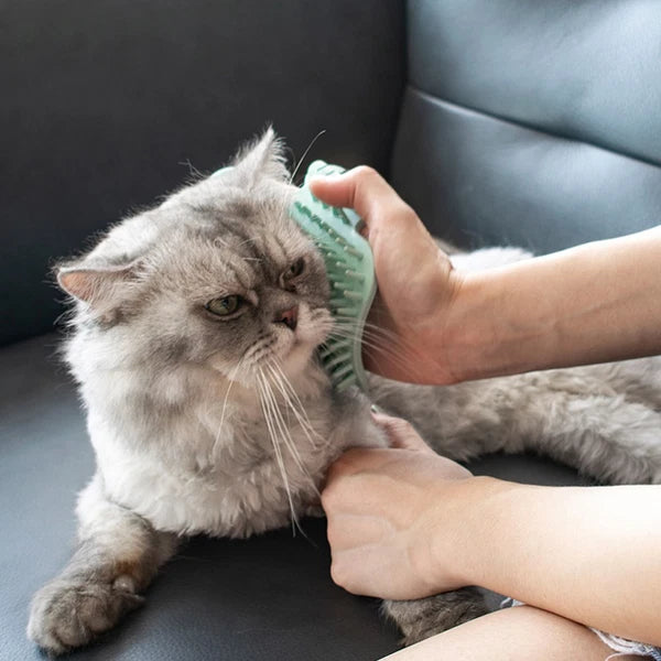 Funny Cat Toy Self-cleaning Scratcher Comb Grooming Brush Corner