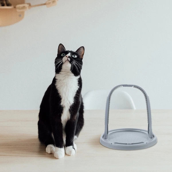 Arched Wool Rubbing Device Cat Self Grooming Massage Toy Hair Scratcher